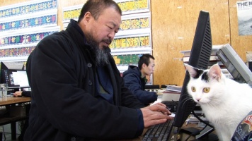 Ai Weiwei: Never sorry