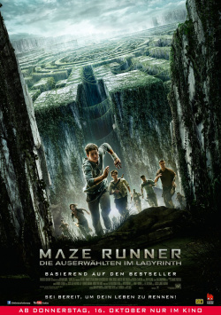 Maze Runner - The Chosen In The Labyrinth
