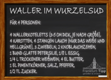 Waller im Wurzelsud