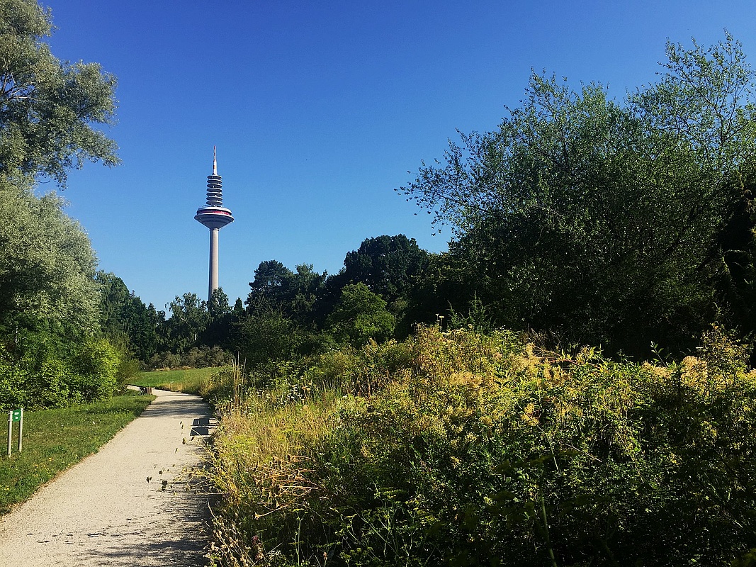 Wild Sunday Ends With A Concert In The Botanical Garden