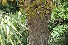 Was bringt euch auf die Palme?