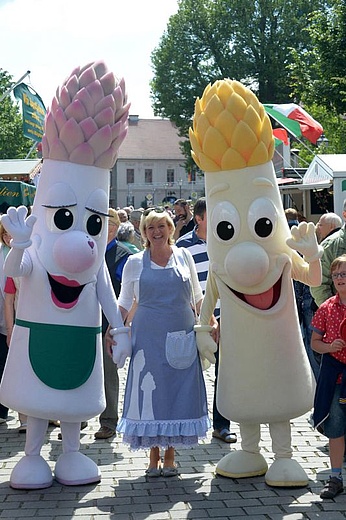 13. Babenhäuser Wein- & Spargelfest