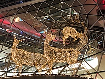 Where does Frankfurt shine the brightest at Christmas?