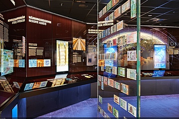 Schon 100.000 Gäste im Geldmuseum der Bundesbank