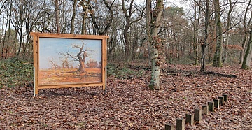 Enjoying art in the middle of the forest