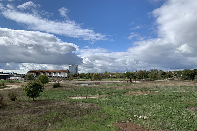 The Racecourse Park - Frankfurt's Newest Local Recreation Area