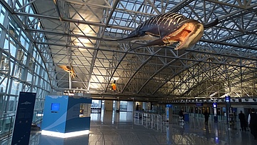 Flugsaurier am Airport Frankfurt