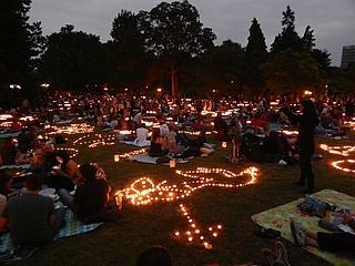 Auch 2021 kein Rosen- und Lichterfest im Palmengarten
