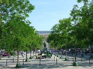 Everyone can join in: Save Frankfurt's trees!