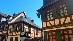 Zwei sinnvolle und wunderbare Wochen – Frankfurt liest mal wieder