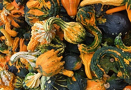 Erntefest mit Herbstmarkt im Hessenpark 2026