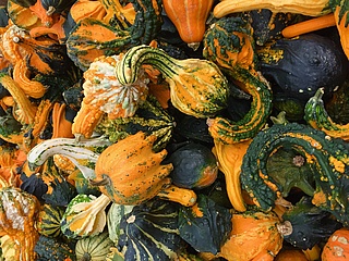 Erntefest mit Herbstmarkt