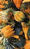 Erntefest mit Herbstmarkt