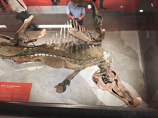 Edmonds Urzeitreich – Eine Dinograbung in Frankfurt
