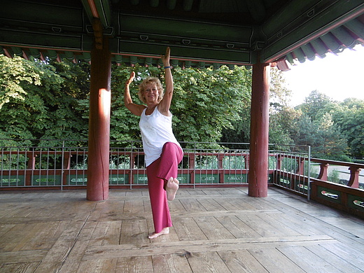 Tai Chi Chuan die sanfte ART der Stressbewältigung