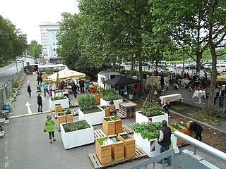 Last WednesdayMarket in the Frankfurt Garden