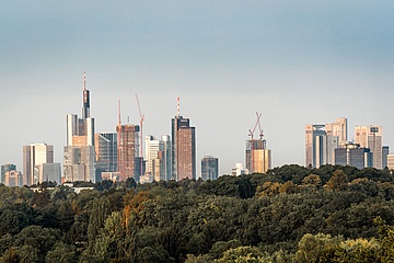 Viele Anmeldungen für ersten stadtweiten Sauberkeitstag 'Frankfurt Cleanup'