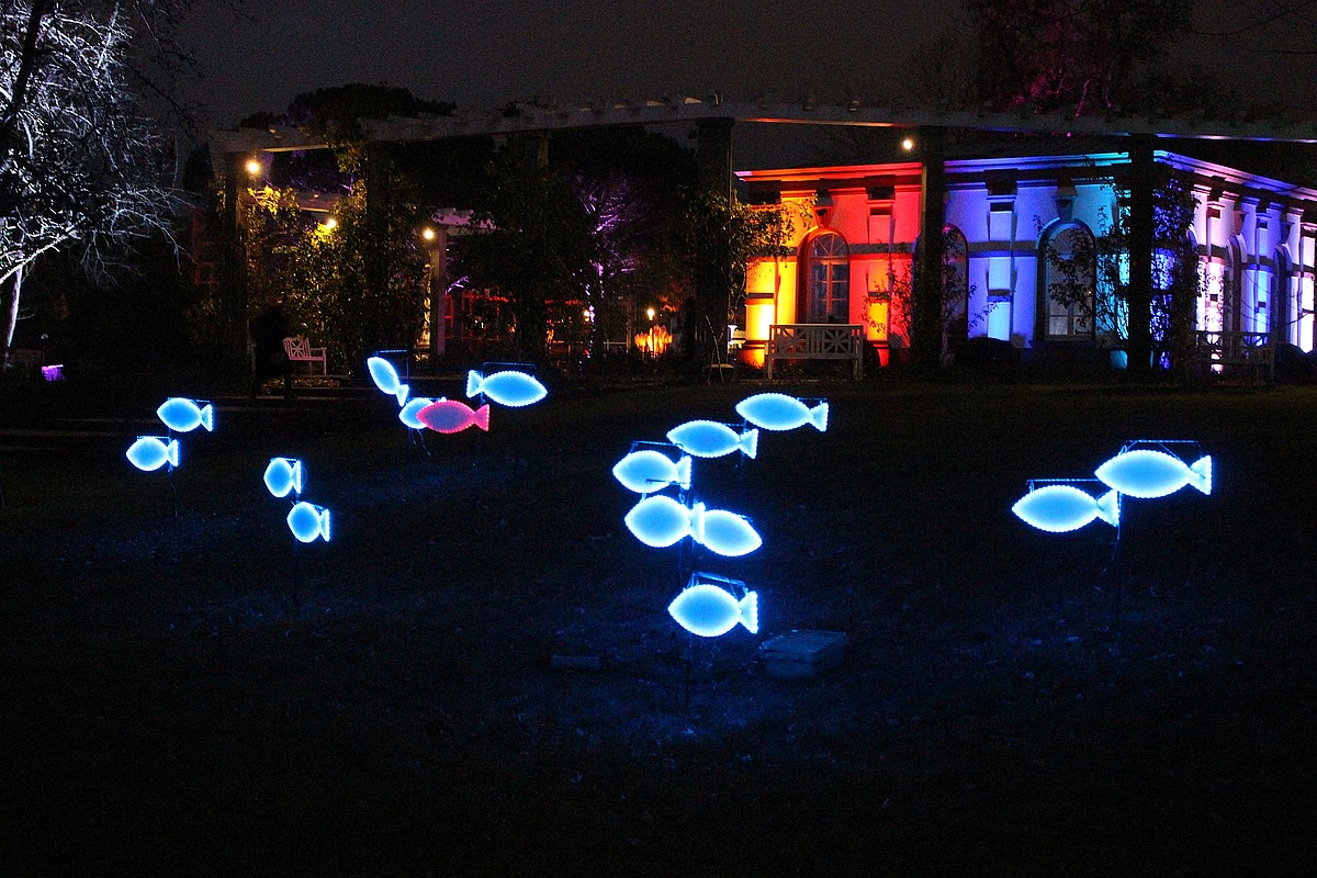 Die Winterlichter Leuchten Wieder Im Palmengarten