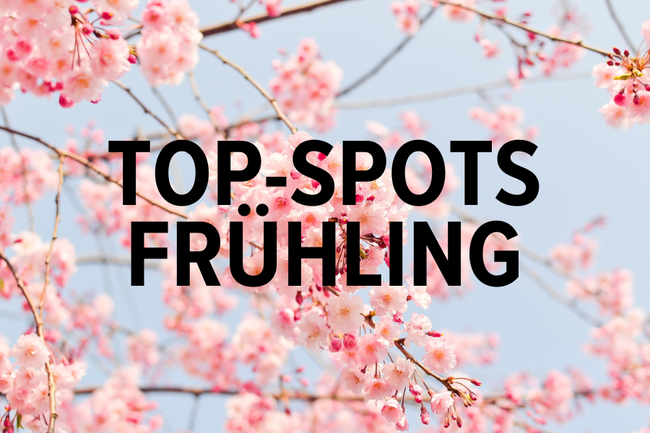 Top-Spots im Frühling