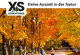 Aktiv durch den Herbst: Wandern