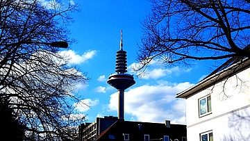 28 curious facts about Frankfurt in February