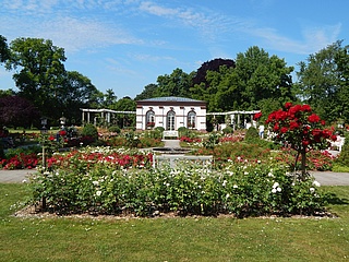 Happy Birthday – 150 Jahre Palmengarten