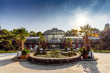 Städtische Kultureinrichtungen, Palmengarten und Zoo bleiben bis 3. Mai geschlossen