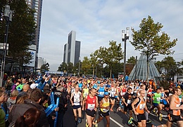 Mainova Frankfurt Marathon 2026