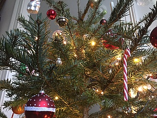 Erna, the tree needles: Fixed collection dates for Christmas trees