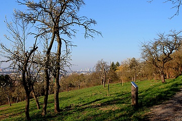 Für mehr Social Distancing neue Seiten von Frankfurt entdecken