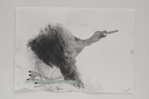 Nuno Ramos - Über die menschliche Natur