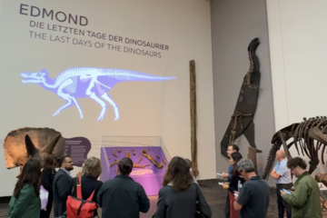 Edmond erzählt vom Ende der Dinosaurier – im Senckenberg Naturmuseum Frankfurt