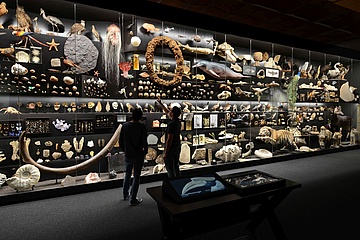 Senckenberg exhibition 'Fascination Diversity' is extended