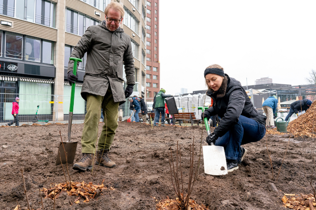Ein Miniwald für Sachsenhausen