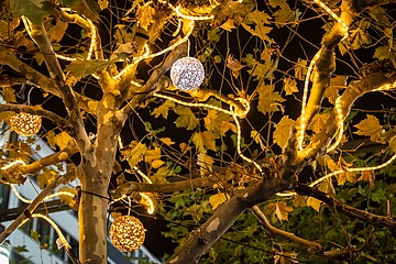Lights on: Christmas atmosphere on the Zeil