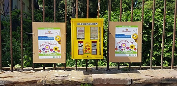 Projekt Bienenretter: Saatgut aus dem Kaugummiautomaten