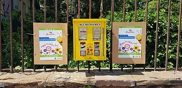 Projekt Bienenretter: Saatgut aus dem Kaugummiautomaten