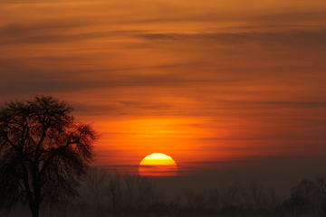 Saharastaub erreicht Frankfurt – Himmel über dem Rhein-Main-Gebiet wirkt milchig