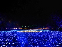 Nach erfolgreicher Premiere: Christmas Garden Frankfurt ist zurück