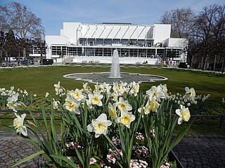 Frankfurter Palmengarten zieht positive Bilanz für 2023