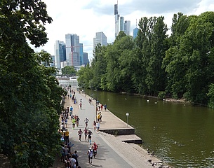 Ironman in Frankfurt: Obstructions in local traffic