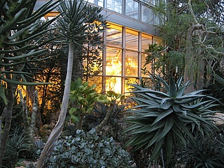 Palmengarten: Renovation work in the open air and in the Tropicarium