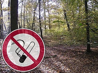 High forest fire danger in Frankfurt's city forest