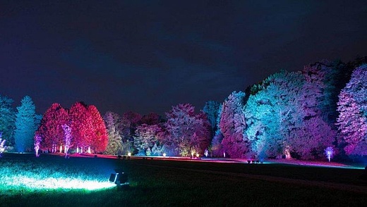 RheinLeuchten 2019: Spielort Loreley