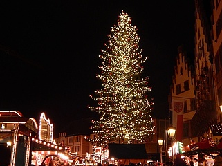 Wer bringt den Frankfurter Weihnachtsbaum zum Strahlen?