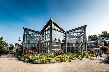 Weitere Lockerungen: Palmengarten öffnet Schauhäuser