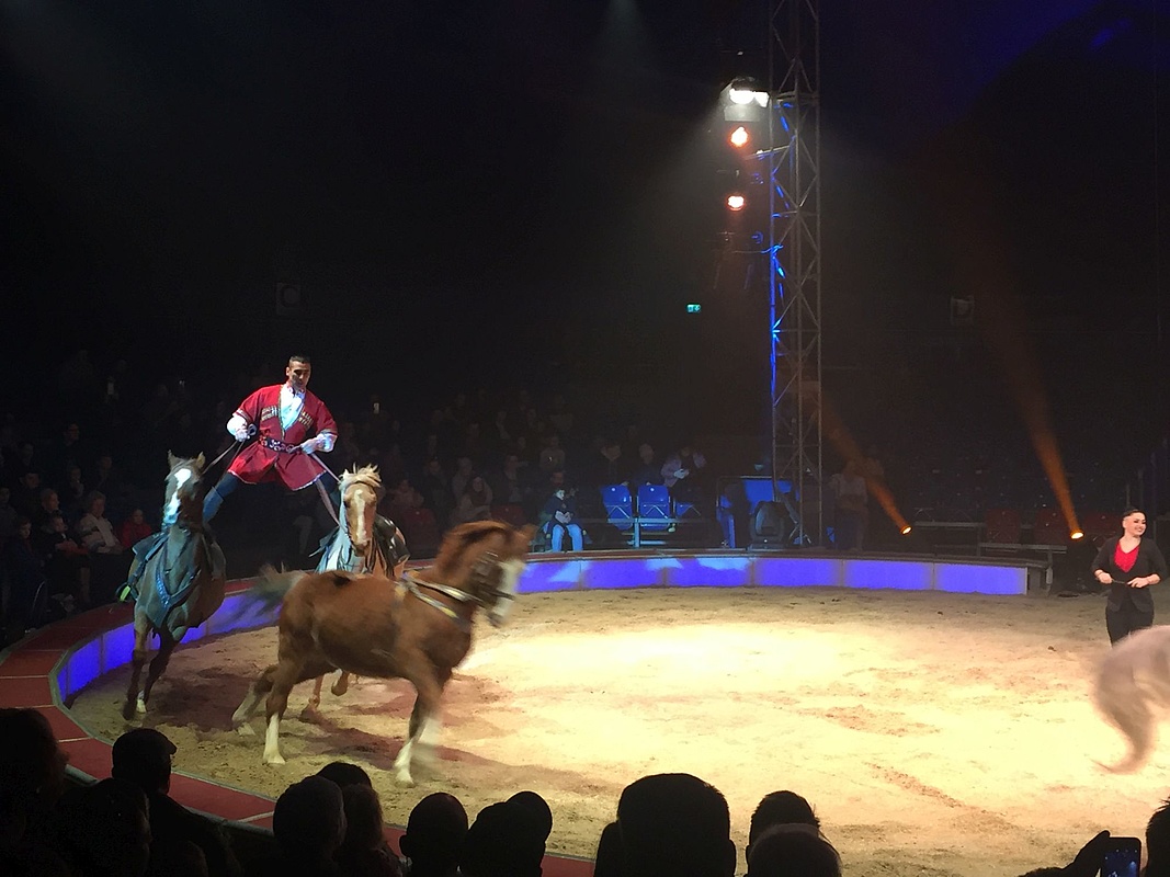 Der GREAT CHRISTMAS CIRCUS verzaubert sein Publikum - Frankfurt-Tipp