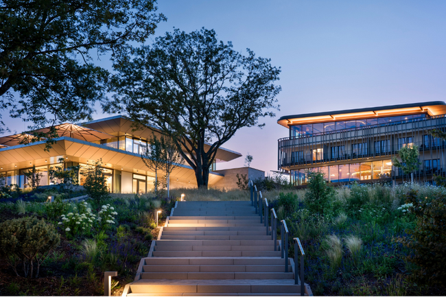 RHEINGAU.ADVENT.BRUNCH IM WALD.WEIT