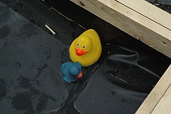 Prima Klima auf dem Balkon? Hochhäuser ade? Hallo Erdhügel?