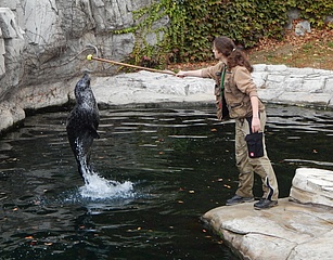 Ferienprogramm im Frankfurter Zoo